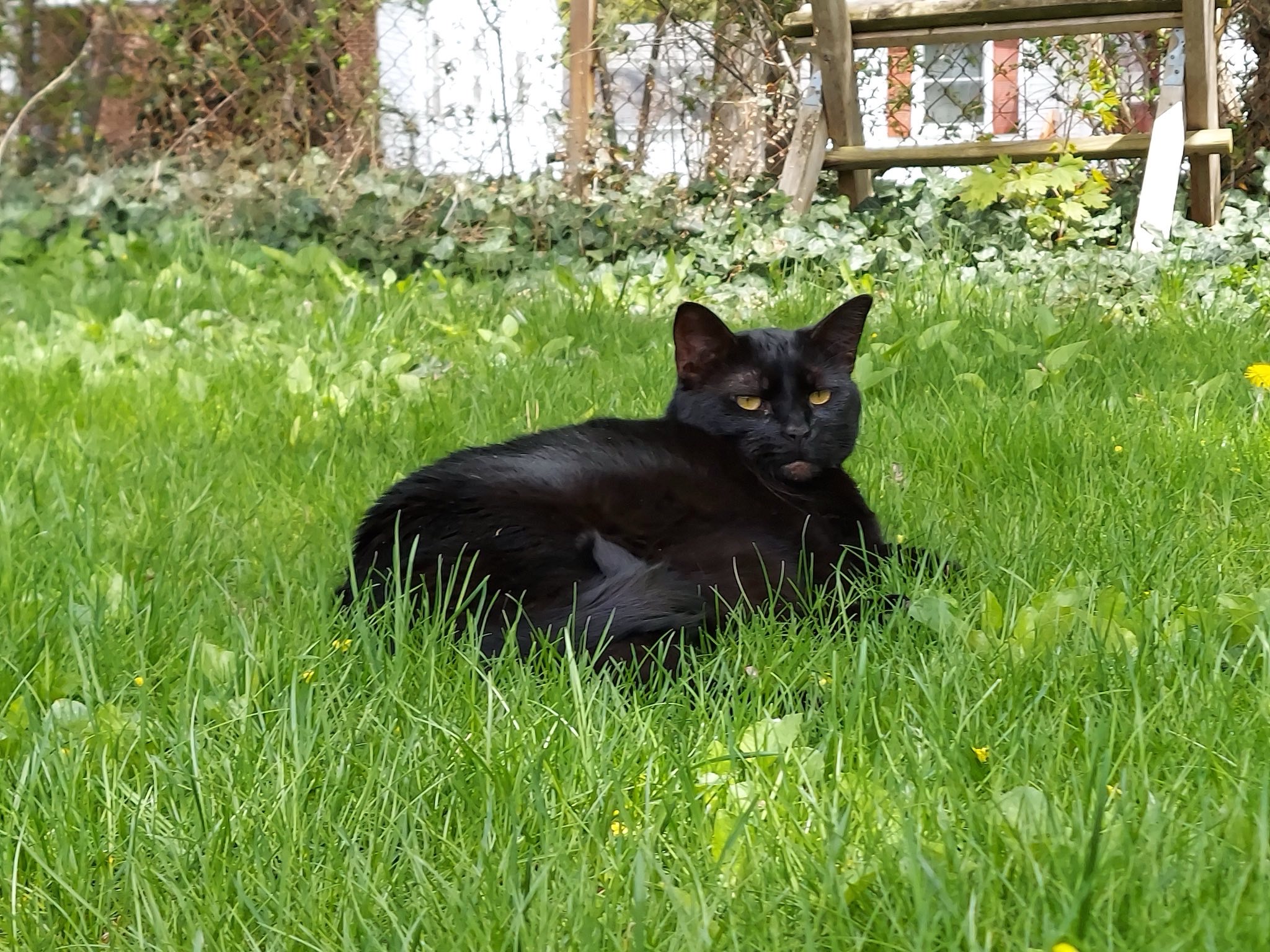 Elaine