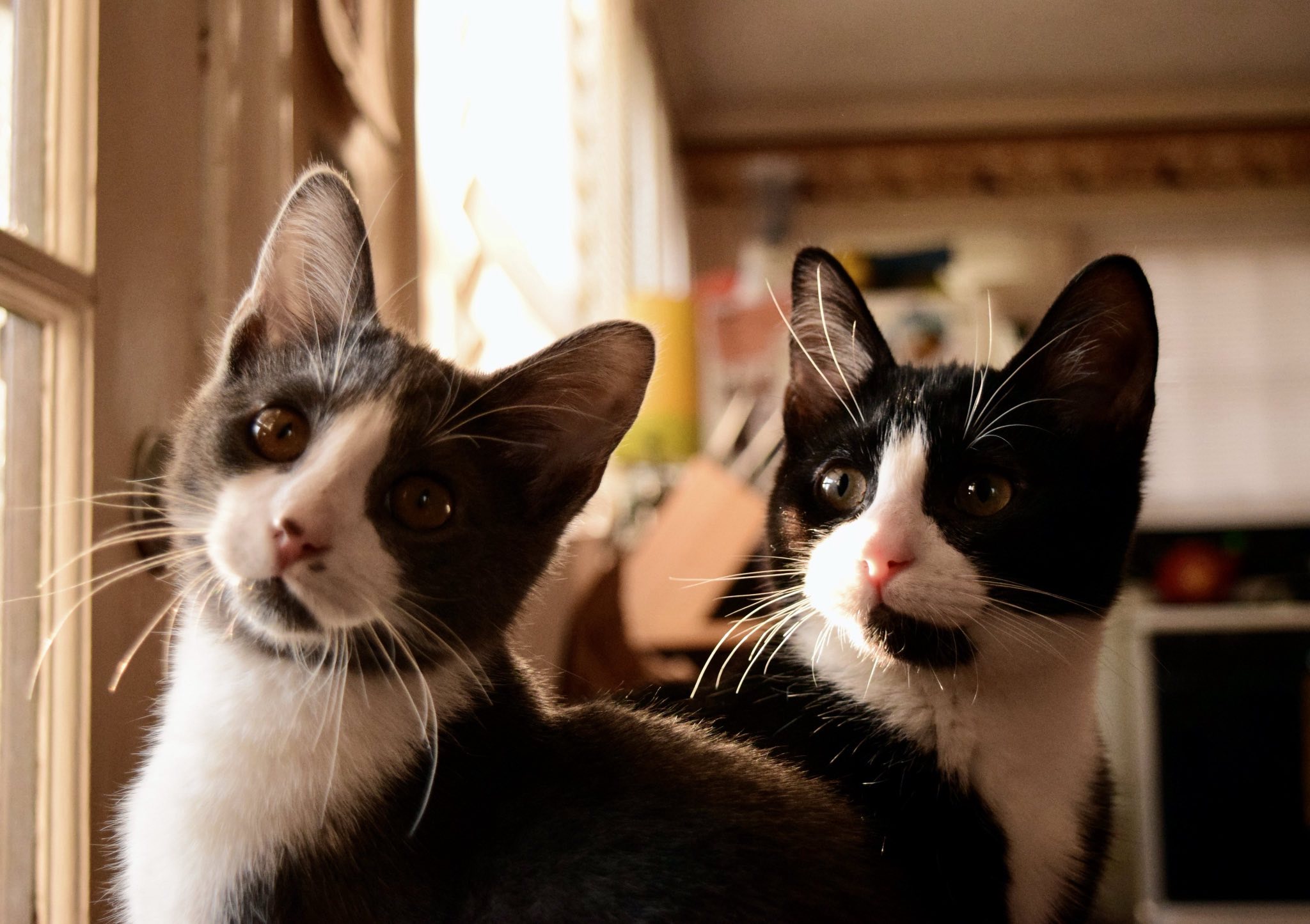 Tom & Dave